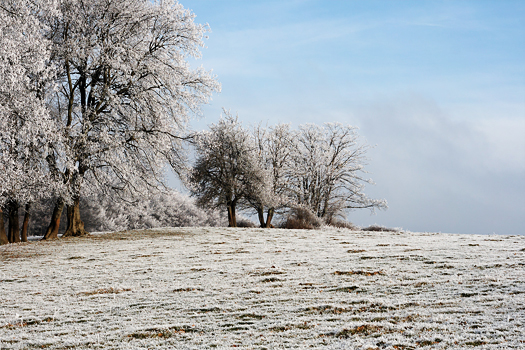 Portfolio - Landscape, Landschaft, Winter, Feld und Wiesen, Saarland, St. Ingbert