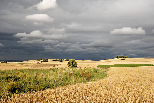 Portfolio - Landscape, Landschaft, Feld und Wiesen