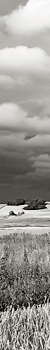 Portfolio - Landscape, Landschaft, Feld und Wiesen