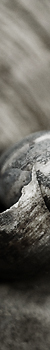 Portfolio - Stills, Muscheln, Details