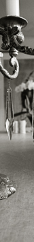 Portfolio - Stills, Flowers, Blumen